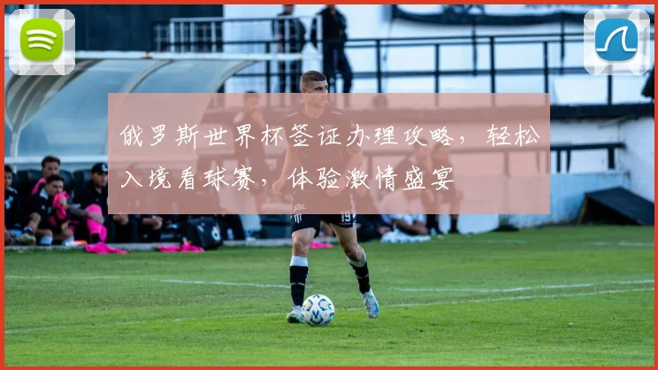 俄罗斯世界杯签证办理攻略，轻松入境看球赛，体验激情盛宴