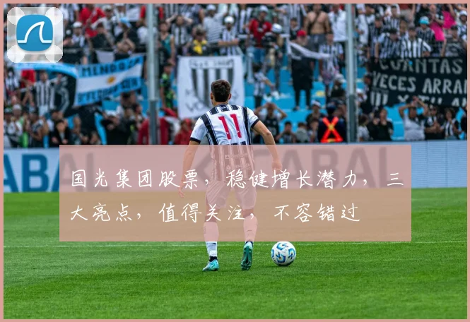 国光集团股票，稳健增长潜力，三大亮点，值得关注，不容错过