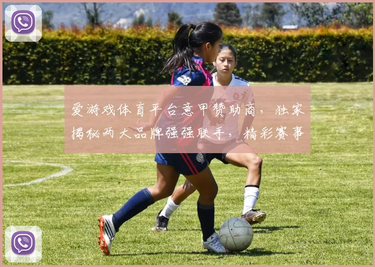 爱游戏体育平台意甲赞助商，独家揭秘两大品牌强强联手，精彩赛事不容错过