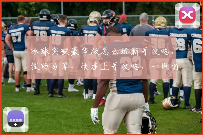 冰球突破豪华版怎么玩新手攻略，技巧分享，快速上手攻略，一网打尽