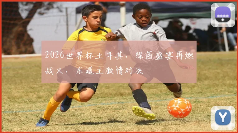 2026世界杯土耳其，绿茵盛宴再燃战火，东道主激情对决