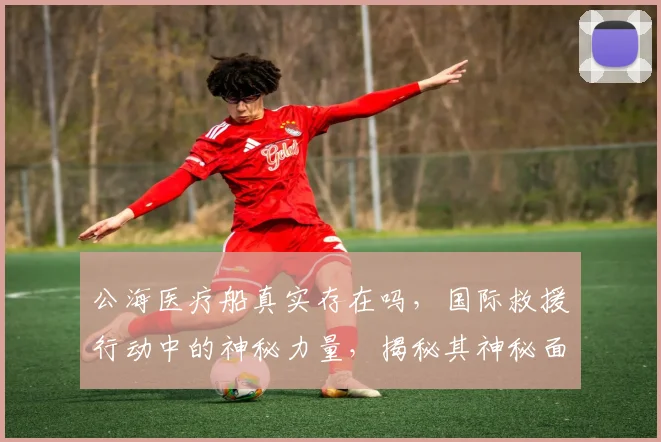 公海医疗船真实存在吗，国际救援行动中的神秘力量，揭秘其神秘面纱，三大亮点引人关注