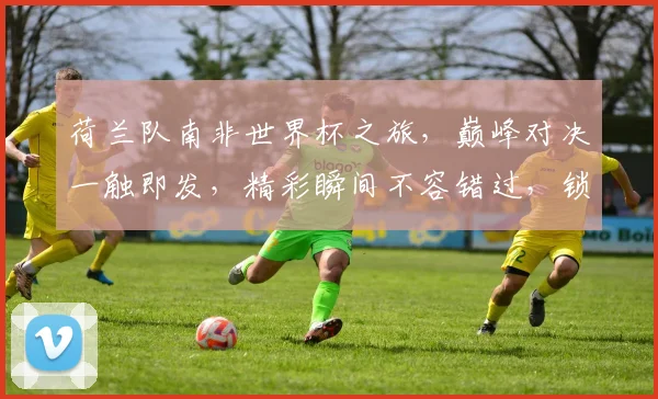 荷兰队南非世界杯之旅，巅峰对决一触即发，精彩瞬间不容错过，锁定焦点
