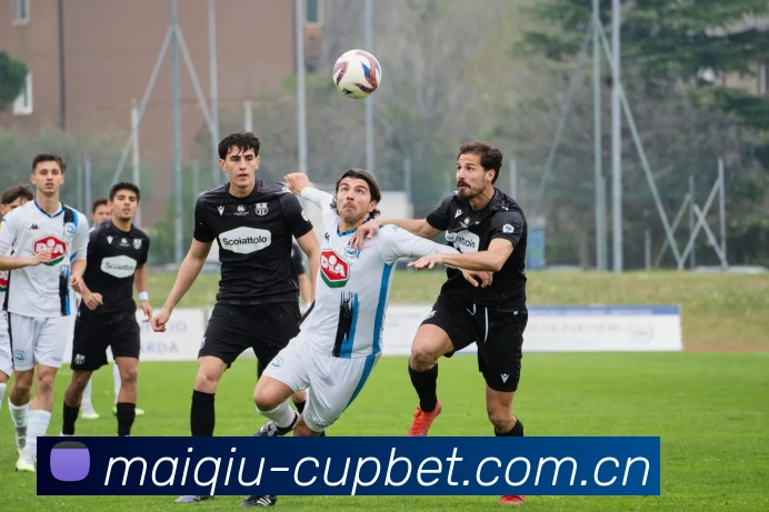2026世界杯11座球场，激情绽放，精彩纷呈，你期待哪一场